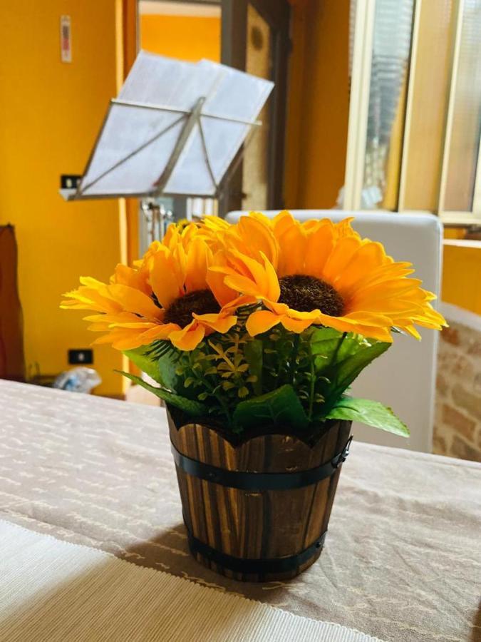 A Casa Di Anna Bed and Breakfast Vaglio Serra Buitenkant foto